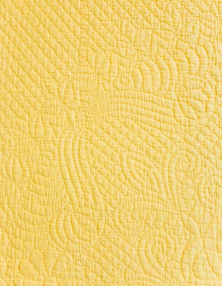 Ostrich feather sprays stitched onto yellow fabric